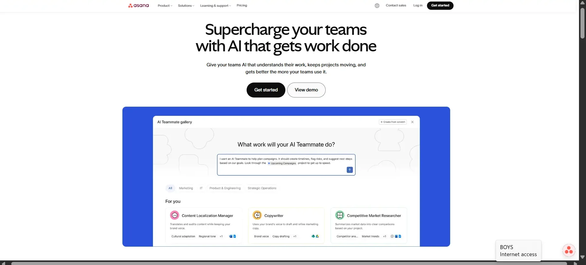 Asana – Advanced Project Management Solution